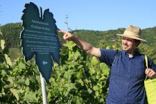 Weinwanderung mit Jürgen