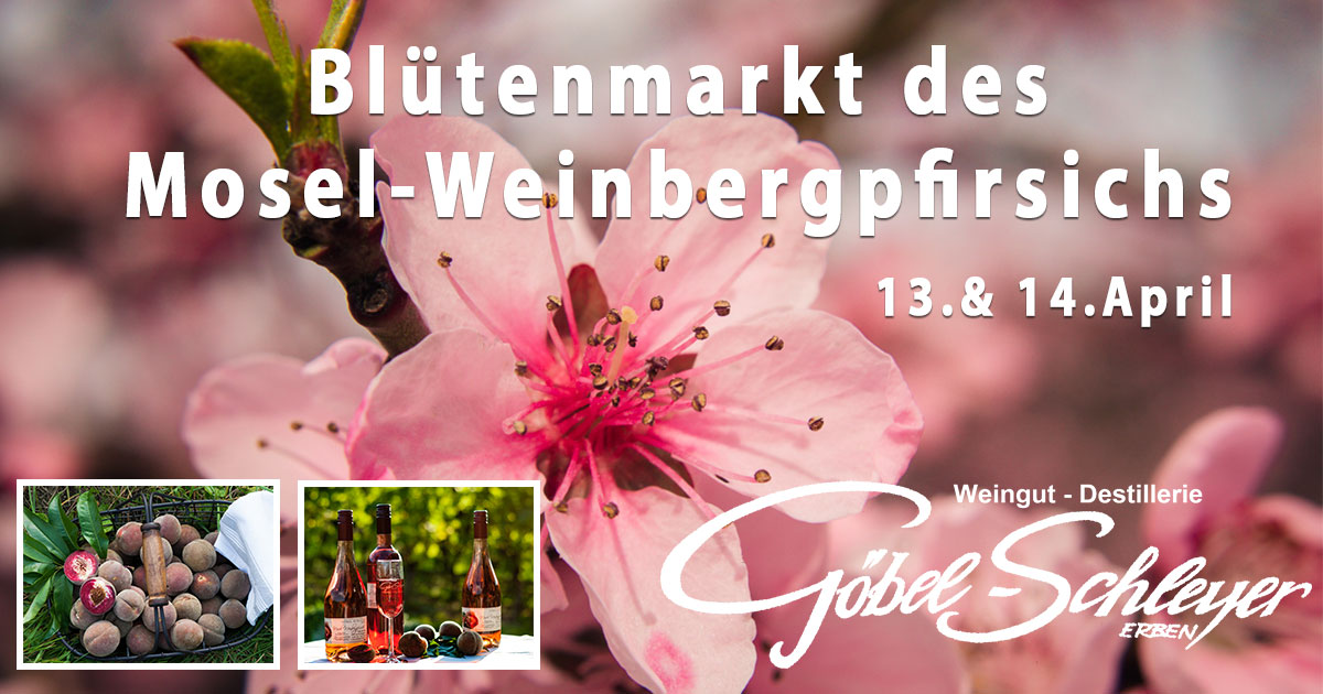  Weinbergpfirsich-Blütenfest