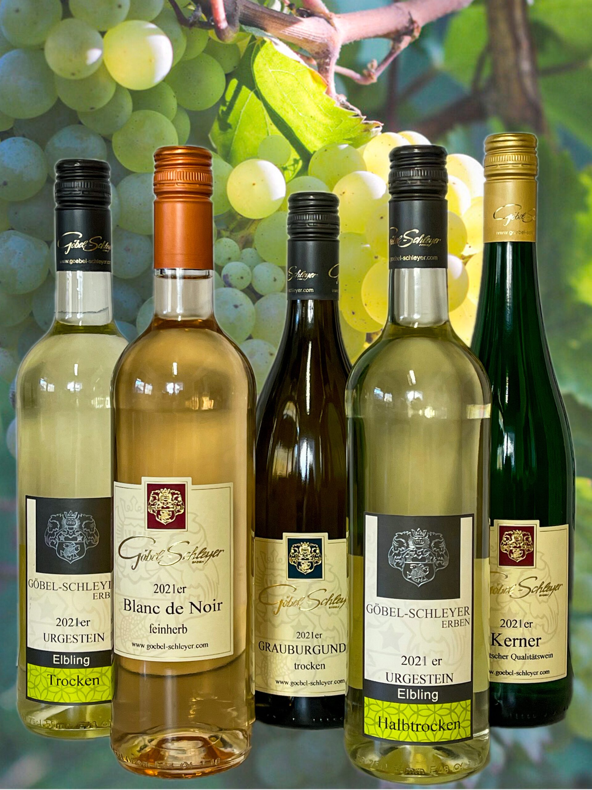- Göbel-Schleyer-Erben Archive Weingut Weinprobe