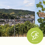Weinwanderung entlang der Weinberge von Cochem